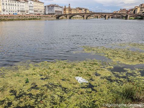 L Allarme Di Legambiente PFAS Nei Fiumi Toscani Necessario