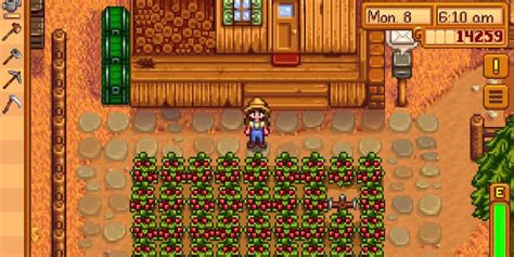 Stardew Valley: 14 Best Crops To Grow In The Greenhouse