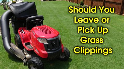 Should You Pick Up Grass Clippings YouTube