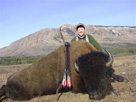 8 Day Bison Hunt In British Columbia With Sikanni River Outfitters