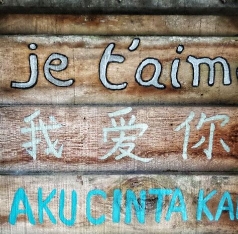 difference  literature  language difference digest