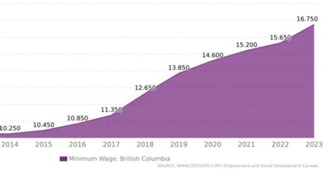 Bcs Minimum Wage Is Going Up But It Has Unintended Consequences News