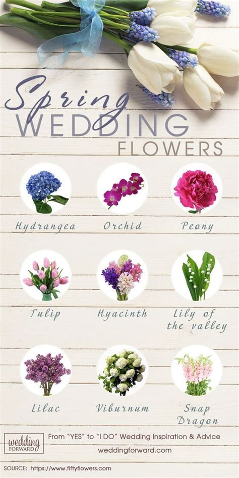 Spring Wedding Bouquet Ideas Faq Spring Wedding Bouquets Spring