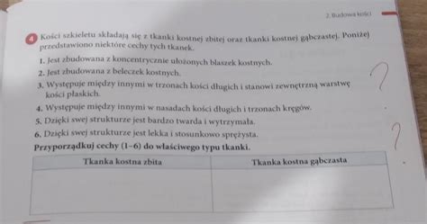 Pomocy na teraz Zadanie w załącznikuZ góry dzięki Brainly pl