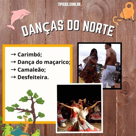 Dan As T Picas Da Regi O Norte Carimb Desfeiteira E Mais