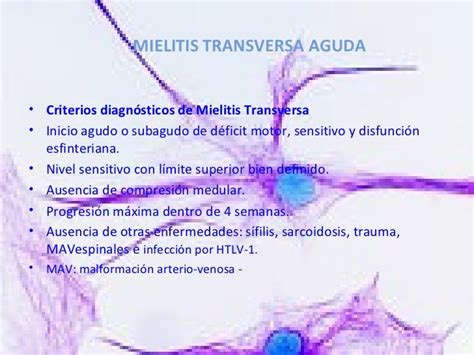 Esclerosis Multiple