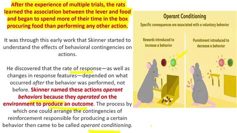 Skinner Operant Conditioning