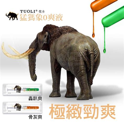 FUNFLY 放飛 猛獁象 菊花快感液 3入裝 後庭 快感液 肛交潤滑液 肛交 O爽液 男同志 性愛 後庭潤滑液 情趣用品 GAY PChome 24h購物