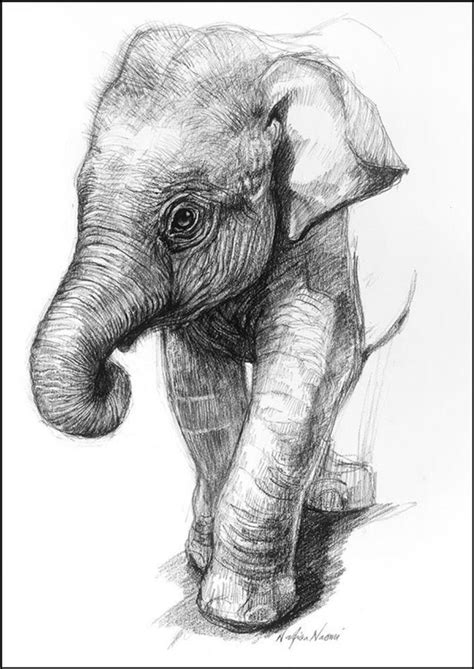 40 Cute Easy Animal Drawings Ideas | Animals drawing images, Cute easy ...