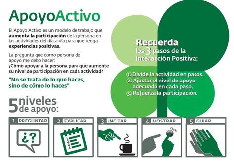 Los 5 niveles del apoyo activo Plena inclusión