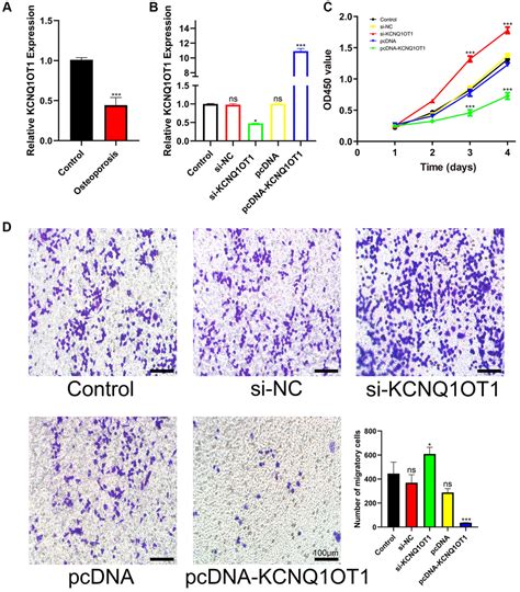 Long Noncoding Rna Kcnq1ot1 Inhibits Osteoclast Differentiation By