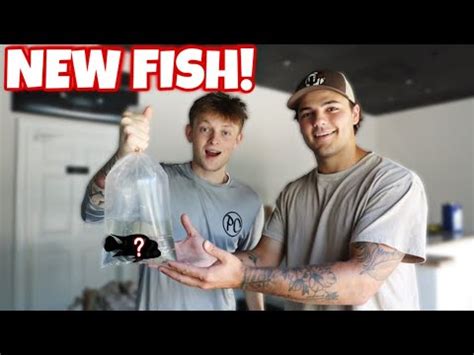 Surpising Paul Cuffaro With New Exotic Fish Youtube