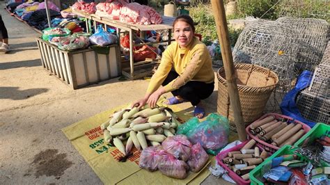 Harvest Corn Bring It Goes To The Market Sell Hà Tòn Chài Youtube