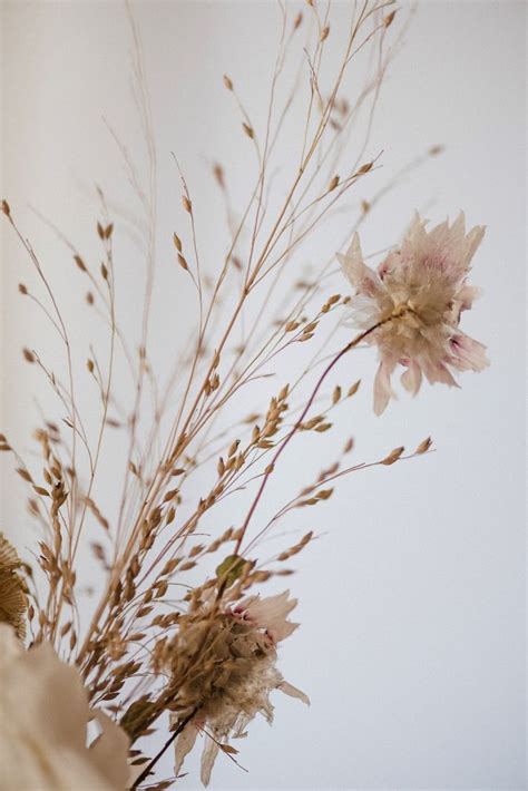 Trockenblumen Dried Flowers Inspiration Photocredit Rebecca Conte