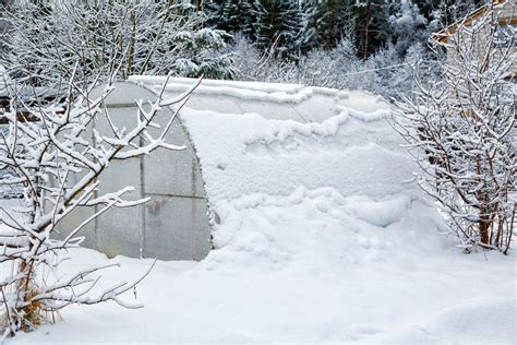 Winter Greenhouse Gardening: Growing Plants Through Winter In A ...