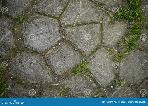 Texture Of Paving Slabs Overgrown With Grass Stock Image Image Of