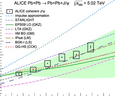 Measured coherent differential cross section of J ψ photoproduction in