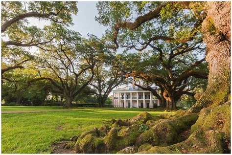 Adventure to Oak Alley Plantation in Vacherie, Louisiana