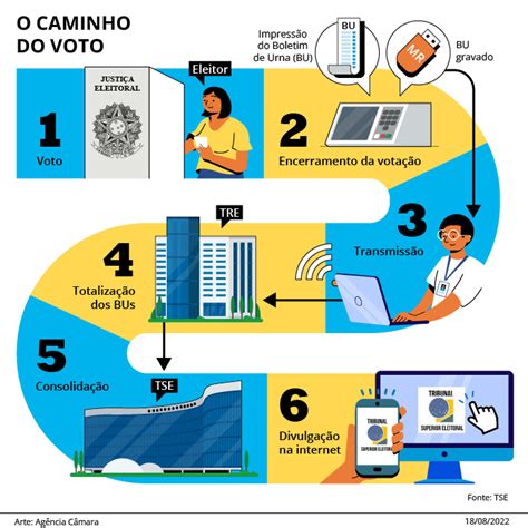 Conheça O Caminho Do Voto Da Seção Eleitoral Até O Resultado O Que