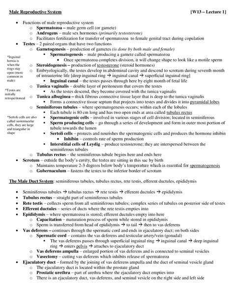 Male And Female Reproductive System Notes Kn 252 Docsity