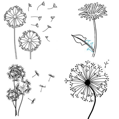 Easy Dandelion Drawing Ideas How To Draw