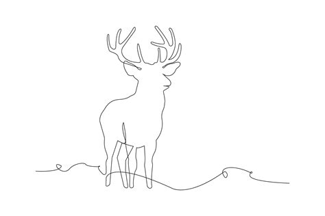 Deer continuous line art drawing. Hand-drawn deer outline vector ...