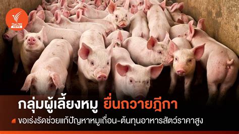 ผู้เลี้ยงหมู ยื่นฎีกาเร่งรัดแก้หมูเถื่อน ต้นทุนอาหารสัตว์ Thai Pbs