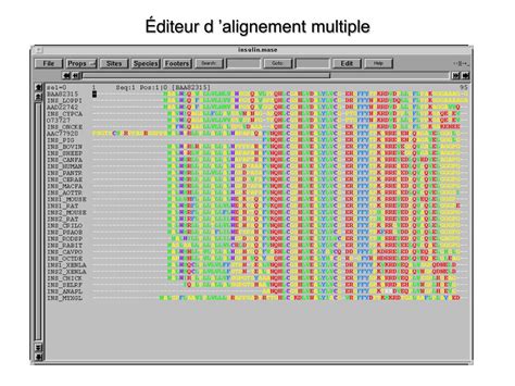 Ppt Alignement De Séquences Biologiques Laurent Duret Pôle