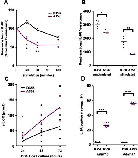 A Is Associated With Increased Ectodomain Shedding Of Il R By Adam