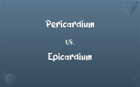 Pericardium Vs Epicardium Know The Difference