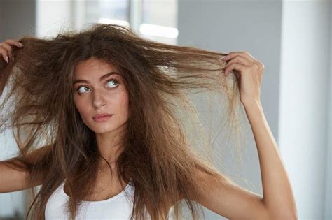 10 Rimedi Naturali Per Capelli Rovinati Sanioggi It