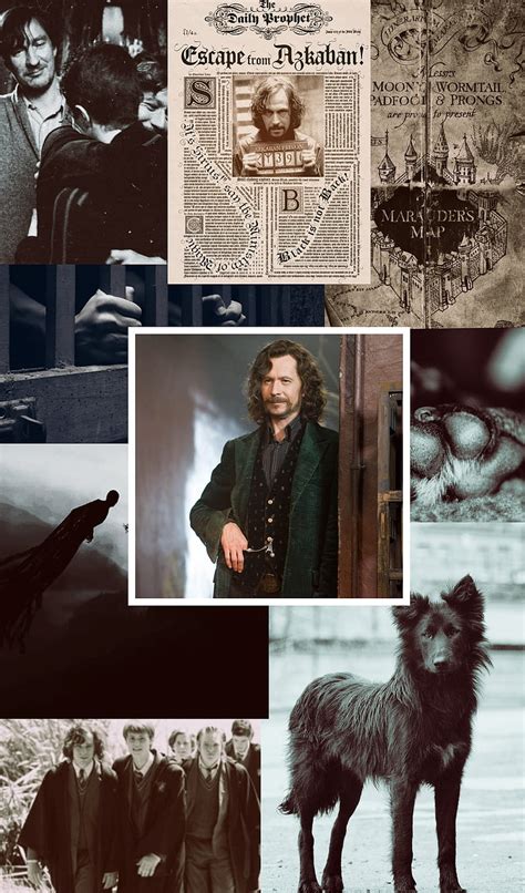 Sirius Black And Harry Potter Fanart