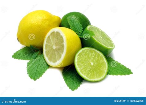 Lemon And Limes Stock Image Image 2544241