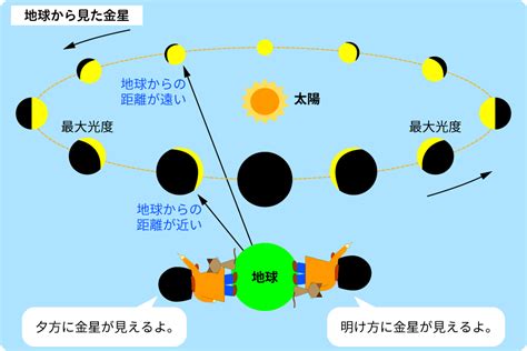 特集 金星の観察｜星や月｜大日本図書