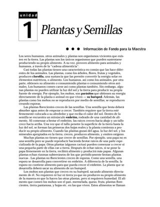 Las Plantas Pdf