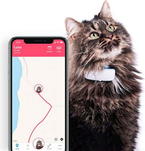 Rastreador Localizador Gps Tractive Para Gatos Con Seguimiento De Actividad