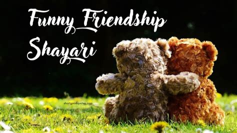 40+ Best Funny Friendship Shayari and Jokes - ShortGoodQuotes