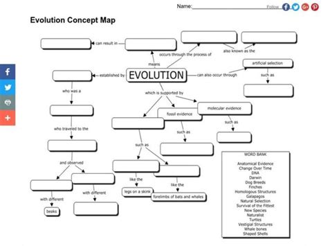 Evolution Concept Map Organizer for 7th Grade | Lesson Planet