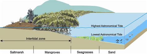 Environmentally Friendly Erosion Protection Seawalls Fish Friendly