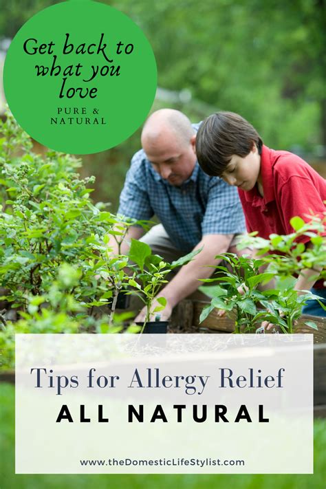 Herbal Antihistamines And Tips For Natural Seasonal Allergy Relief The Domestic Life Stylist