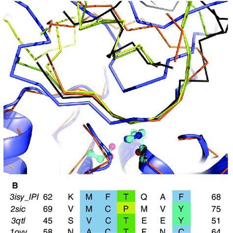 Secondary Structure Topologies Of Intracellular Protease Inhibitor