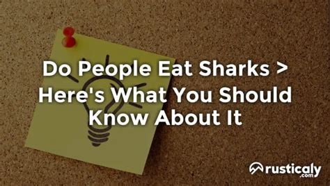 Do People Eat Sharks — Fully Explained Inside!