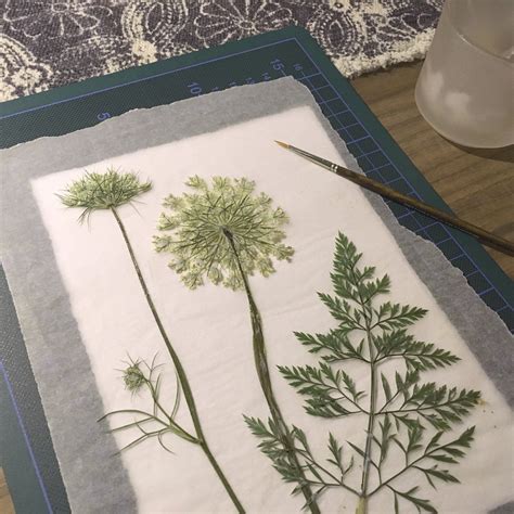 Herbarium How To Freshly Pressed Pressed Flower Art Pressed