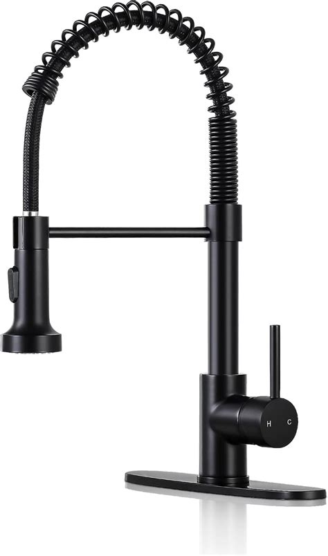 Glacier Bay Paulina Single Handle Spring Neck Pull Down Sprayer Kitchen