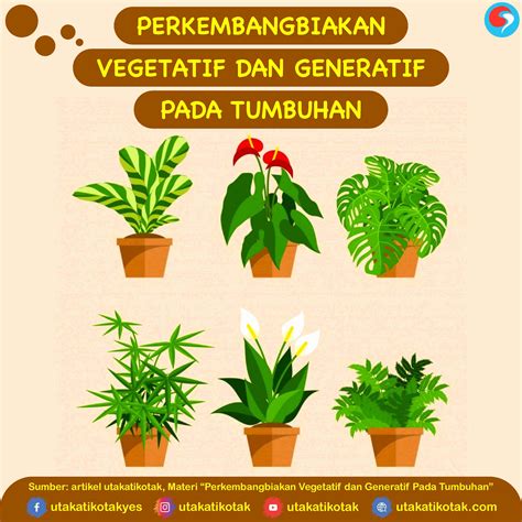 Perkembangbiakan Vegetatif Dan Generatif Pada