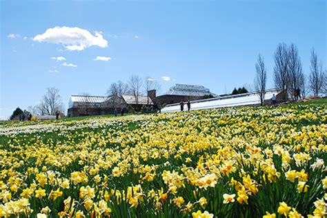 New England Botanic Garden Becomes the First AGZA Certified Green Zone ...