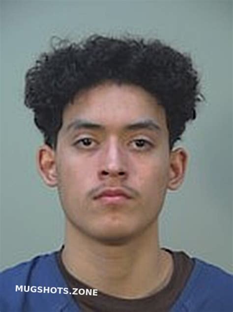 Celis Dominique Nicolas Dane County Mugshots Zone