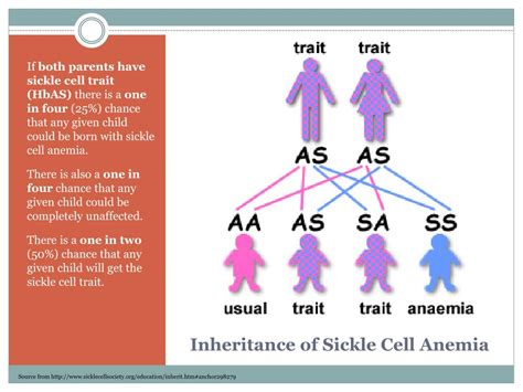 PPT - SICKLE CELL ANEMIA PowerPoint Presentation, free download - ID ...