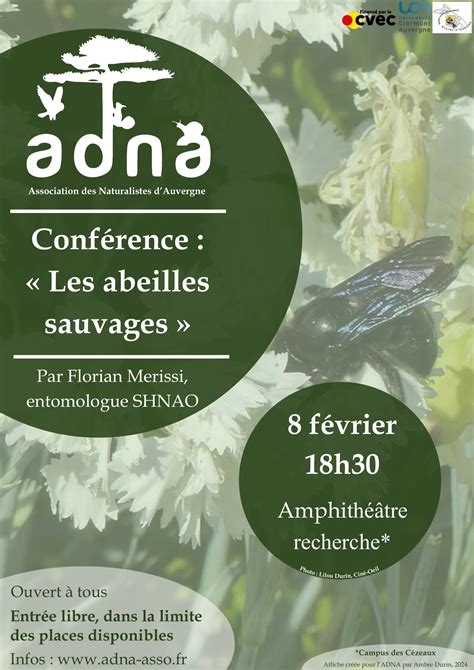 Conférence Les Abeilles Sauvages 8 février 2024 à 18h30 CAMPUS des