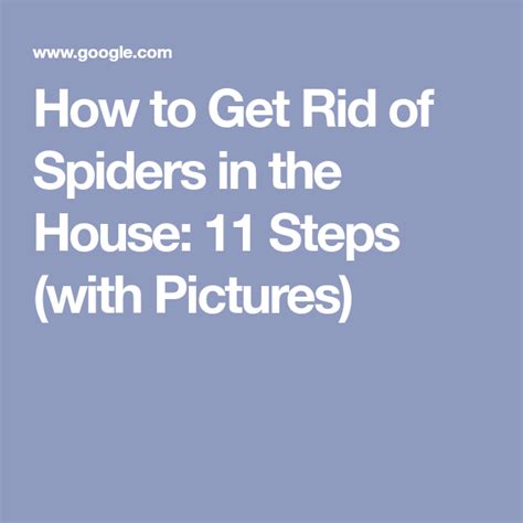 How To Get Rid Of Spiders In The House 11 Steps With Pictures Spider Eggs Get Rid Of Spiders